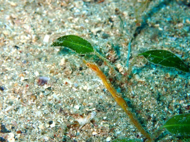 e0115199_13473815.jpg