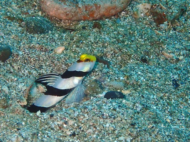 e0115199_13480121.jpg