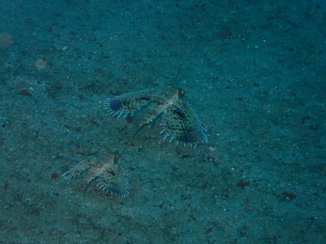 e0115199_13511340.jpg