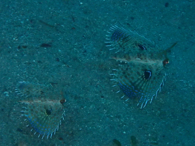 e0115199_13511882.jpg