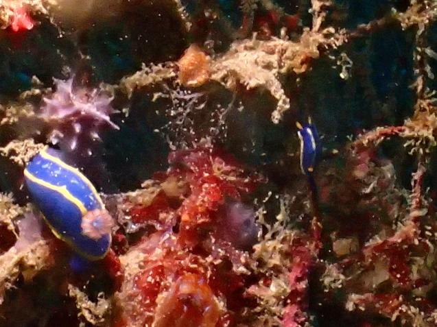 e0115199_13530264.jpg