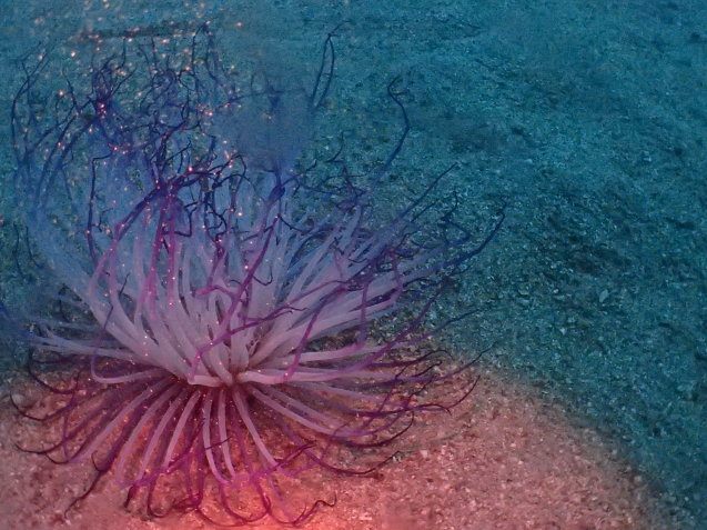e0115199_13530943.jpg
