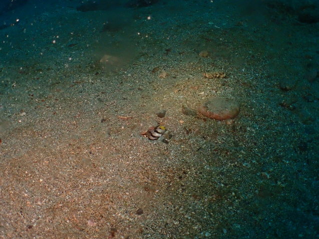 e0115199_13545672.jpg