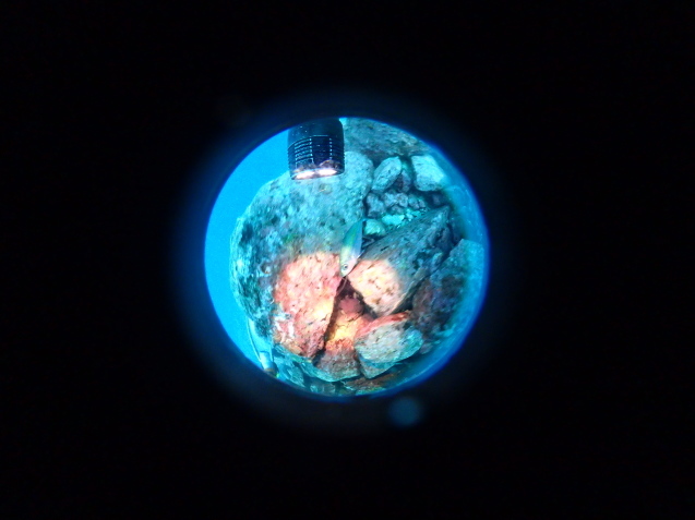 e0115199_13561889.jpg