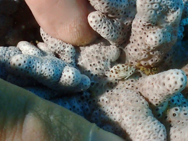 e0115199_13571302.jpg