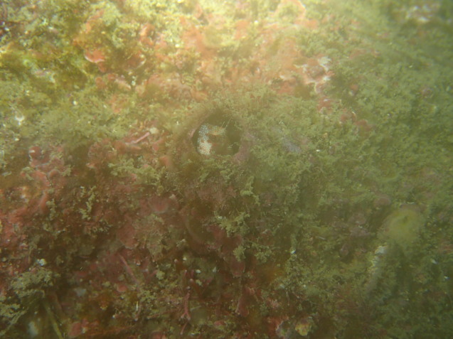 e0115199_16204995.jpg
