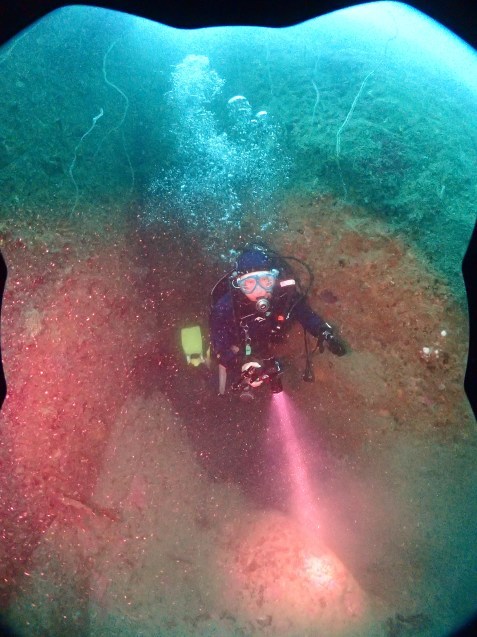 e0115199_16212917.jpg