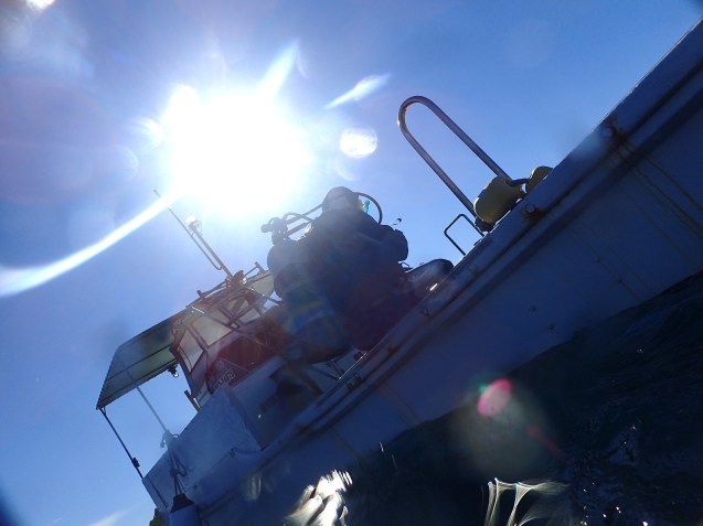 e0115199_16214518.jpg