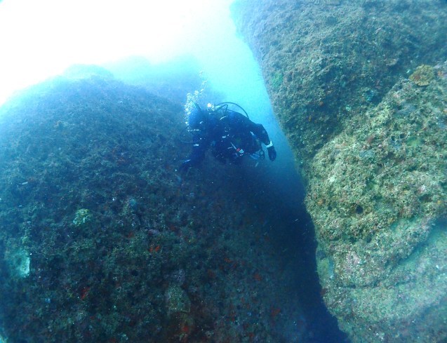 e0115199_16214923.jpg