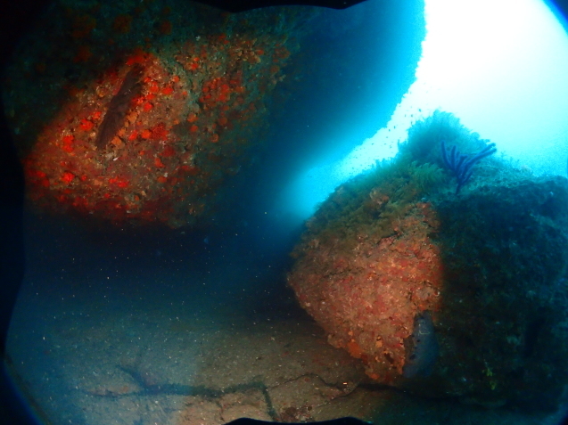 e0115199_16220095.jpg
