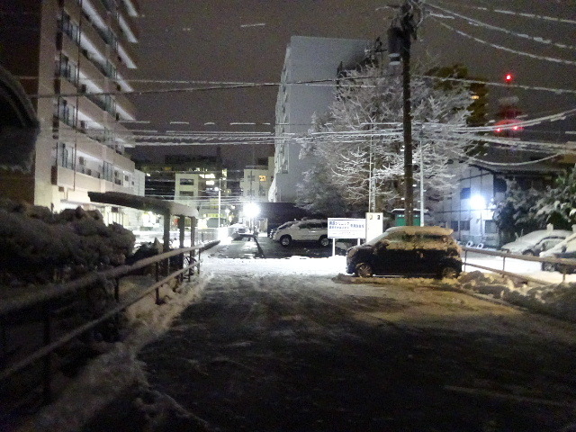 盛岡、再びの積雪･･･｡12月にしては雪が多いなあ。_f0105112_04524805.jpg