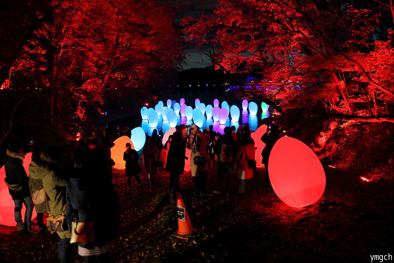 チームラボ 森と湖の光の祭「自立しつつも、呼応する生命」_f0157812_18085887.jpg