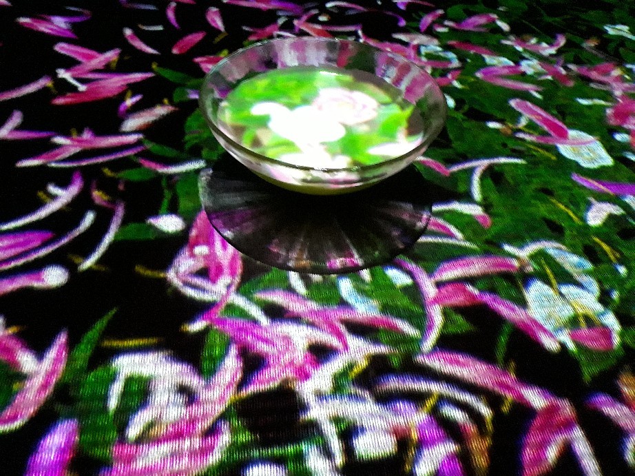 b0133713_16504479.jpg
