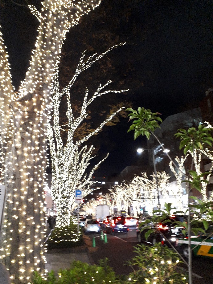 b0133713_21054955.jpg
