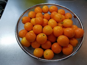 f0371014_10263864.jpg