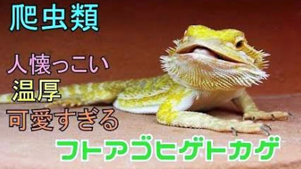b0080718_16553726.png