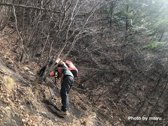 安中市　妙義山塊の最高峰　谷急山北稜と柱状節理　　　　　Mount Yakyu in Annaka, Gunma_f0308721_17103240.jpg