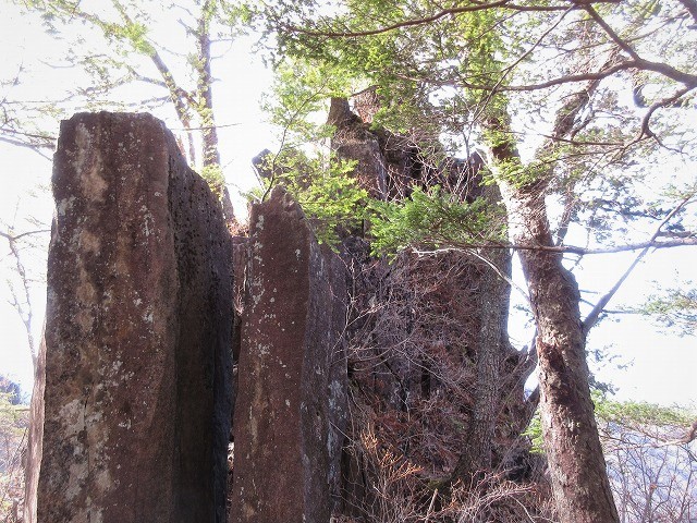 安中市　妙義山塊の最高峰　谷急山北稜と柱状節理　　　　　Mount Yakyu in Annaka, Gunma_f0308721_17160588.jpg