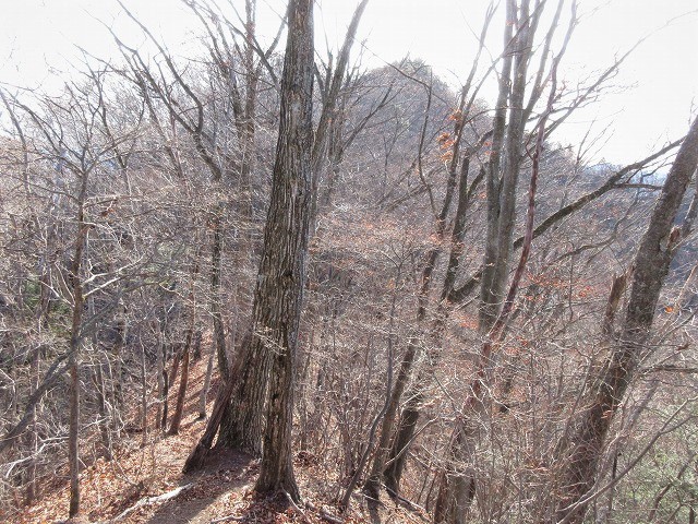 安中市　妙義山塊の最高峰　谷急山北稜と柱状節理　　　　　Mount Yakyu in Annaka, Gunma_f0308721_17215536.jpg