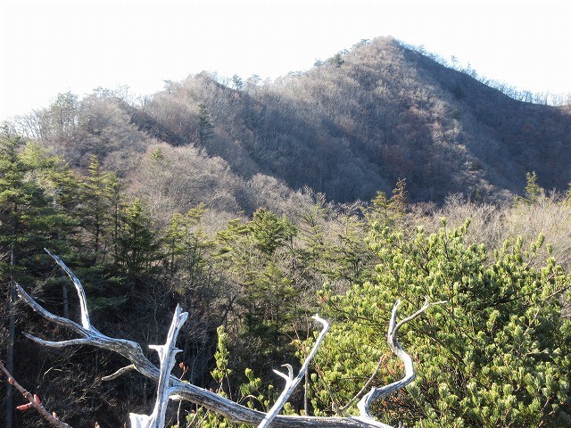 安中市　妙義山塊の最高峰　谷急山北稜と柱状節理　　　　　Mount Yakyu in Annaka, Gunma_f0308721_17304381.jpg