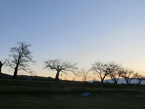 e0234924_16493960.jpg