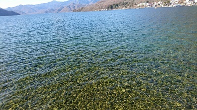 d0060425_14111864.jpg