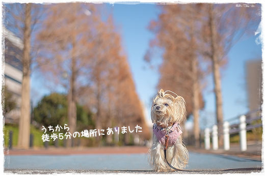 d0179828_13185899.png