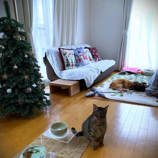 エアコン修理にどきどき_d0355333_21183739.jpg