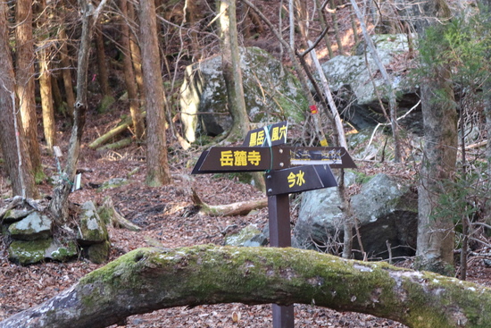 e0272335_18503579.jpg