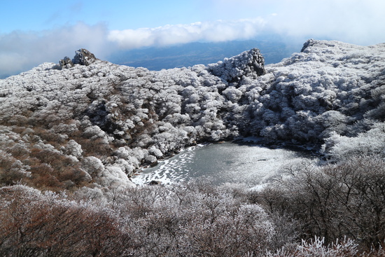 e0272335_1956328.jpg