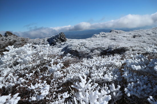 e0272335_204230.jpg