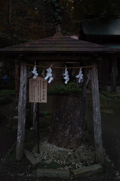 a0287336_15590101.jpg