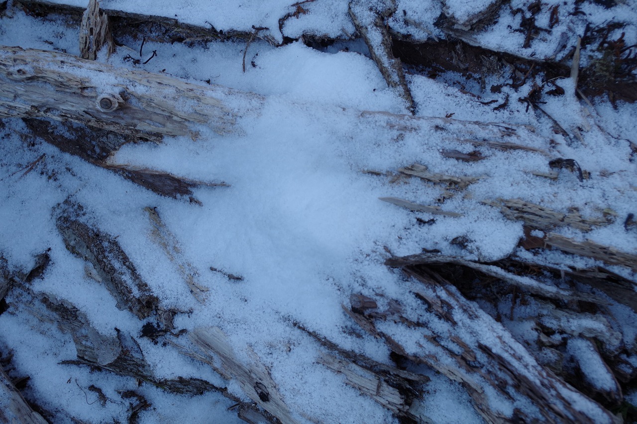 f0114346_08283611.jpg