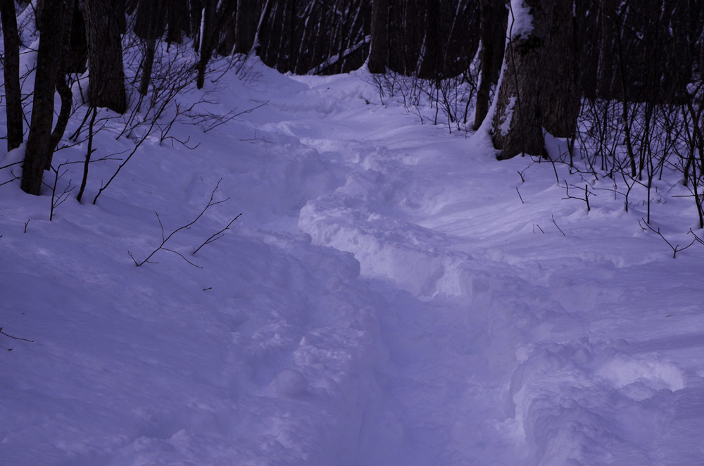 c0077847_22142316.jpg