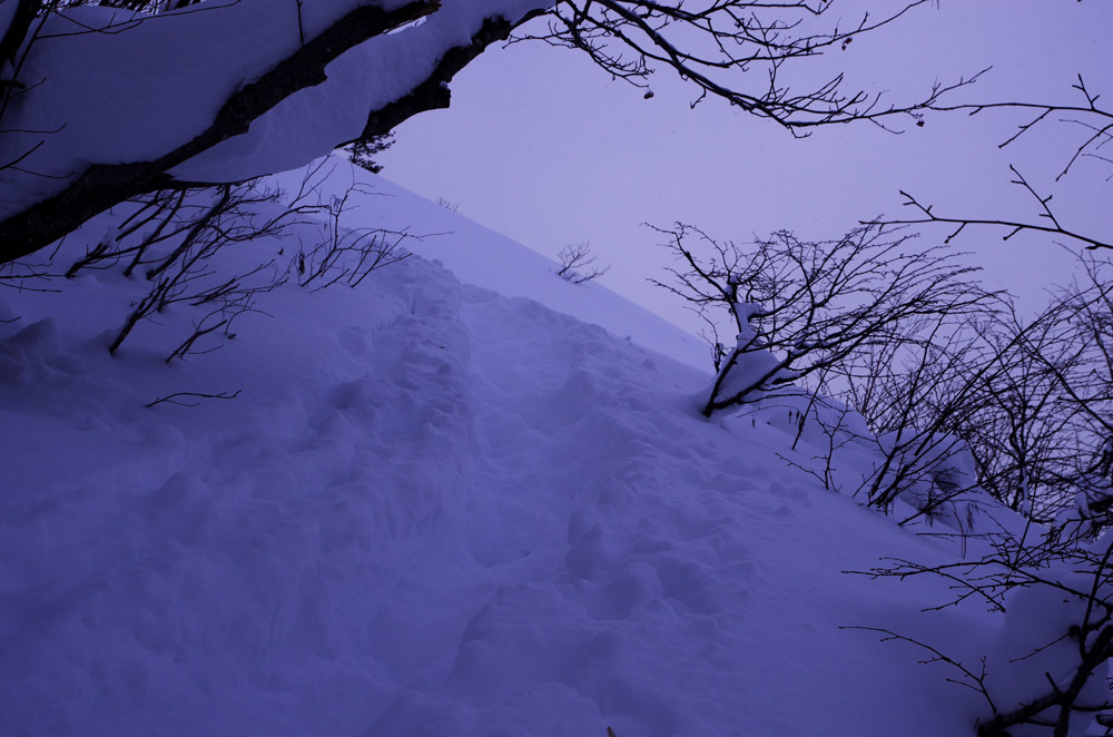 c0077847_22161610.jpg