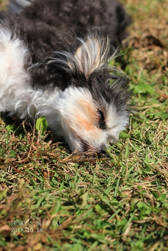 c0145250_10065731.jpg