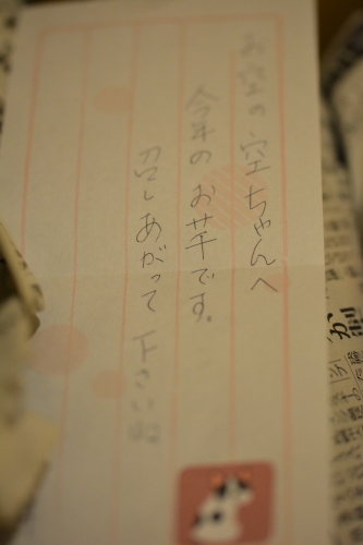 嬉しいラッシュ&お正月飾りBUHI_b0307951_23555271.jpg