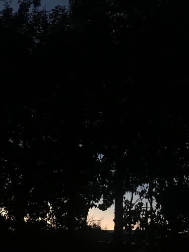 b0192953_20302175.jpeg