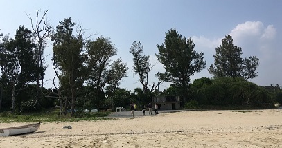 e0010856_07221325.jpg