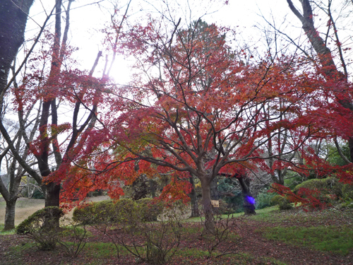 b0045357_09441941.jpg