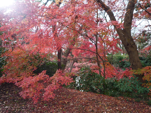 b0045357_09445659.jpg