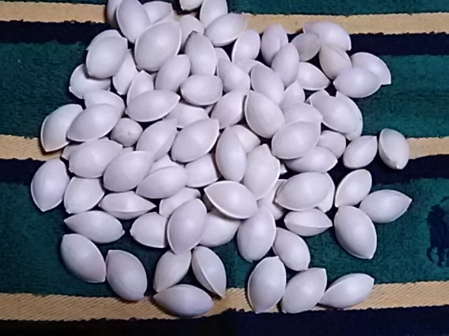f0000262_2375255.jpg