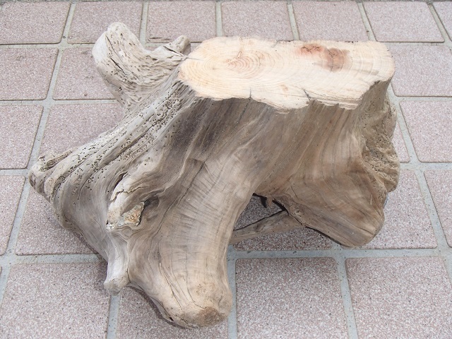 流木オイルフィニッシュ されどチヌ