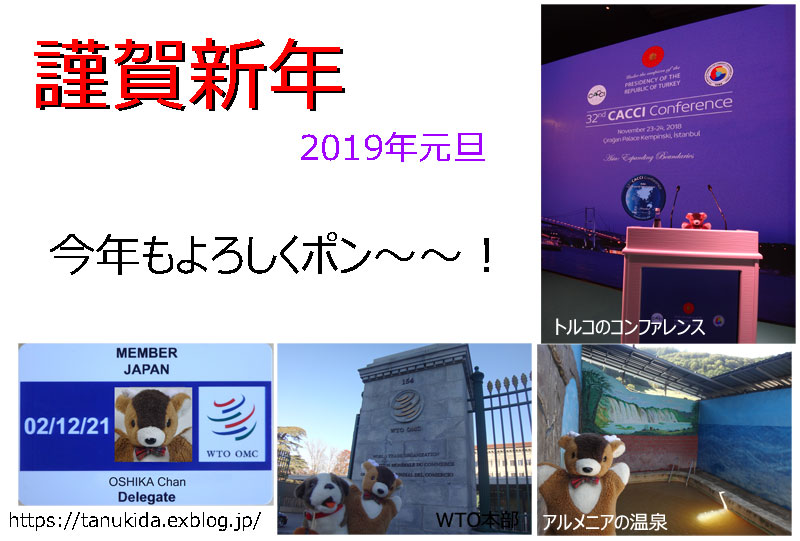 ２０１９年元旦_e0073268_1165257.jpg