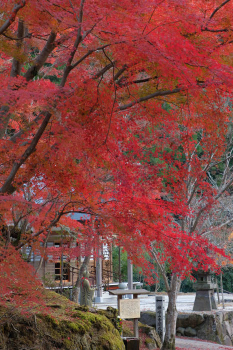  神峰山寺　紅葉2018_f0021869_23564157.jpg