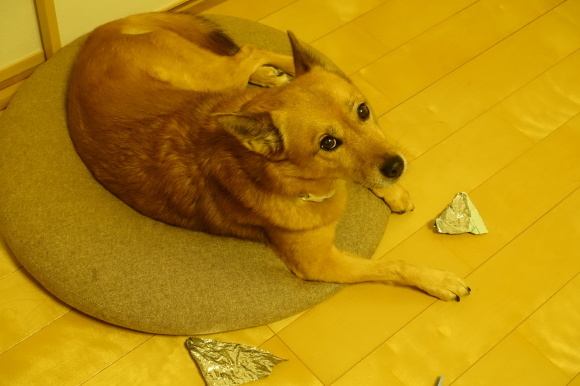 c0357573_08575590.jpg