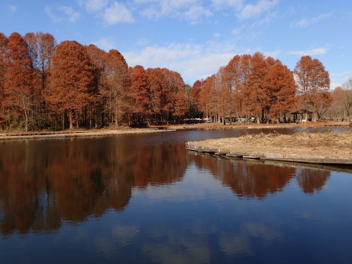 f0348480_17465514.jpg