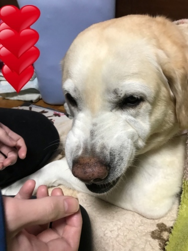 f0315081_17381090.jpeg
