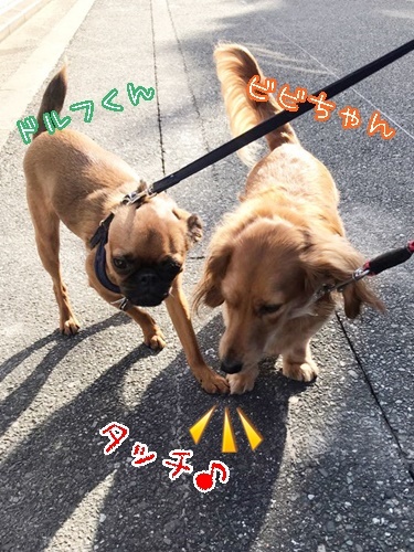 なっかよし~(*\'▽\')♪_f0357682_16063725.jpg
