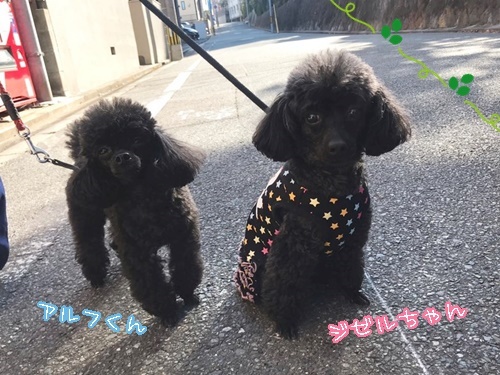 なっかよし~(*\'▽\')♪_f0357682_16432613.jpg